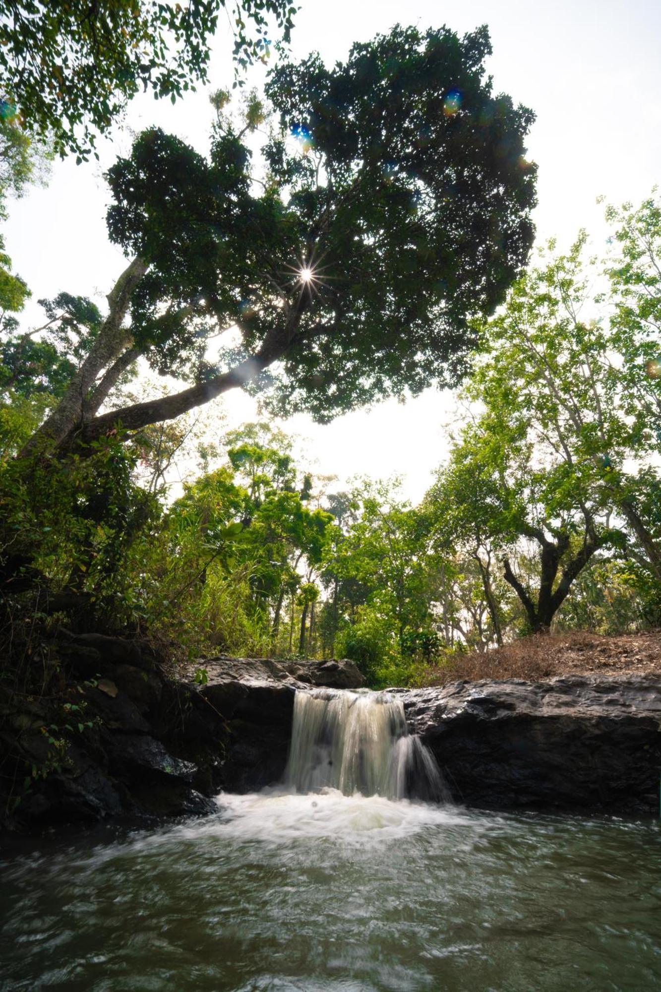 Kingmaker'S Plantation With River Stream Madikeri Exterior photo